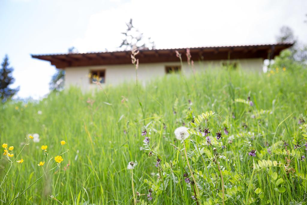 Chalet Hafling Leckplatt エクステリア 写真